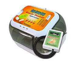 ایزی باتور ۶